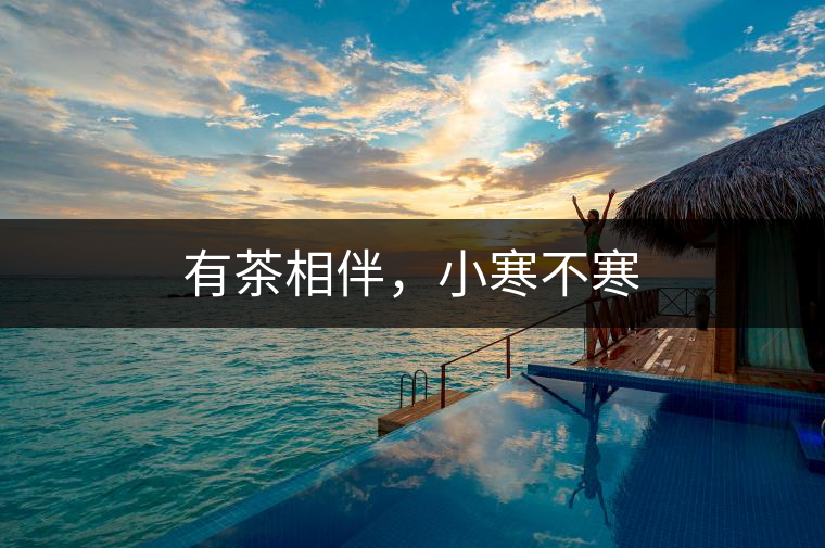 有茶相伴，小寒不寒