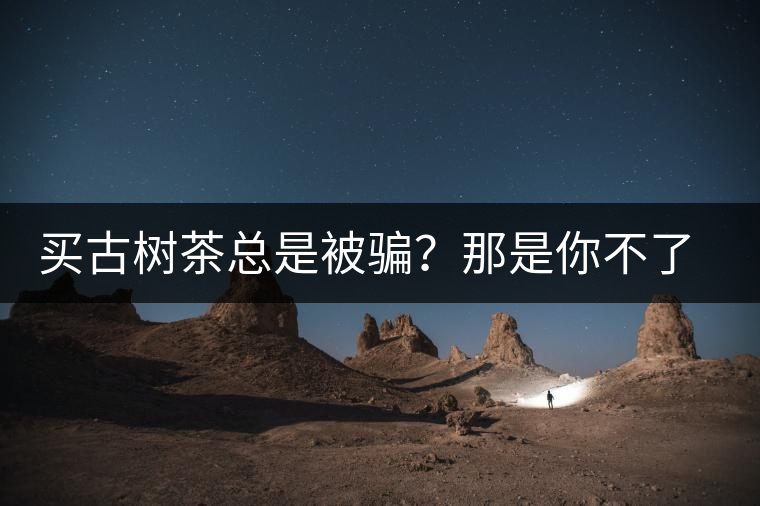買古樹茶總是被騙？那是你不了解古樹茶的十大真相