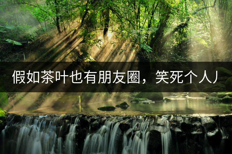 假如茶葉也有朋友圈，笑死個(gè)人兒...