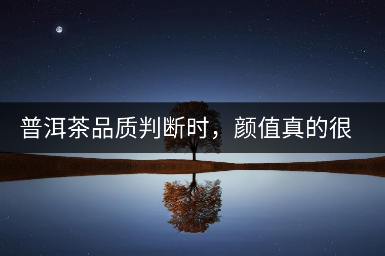 普洱茶品質(zhì)判斷時(shí)，顏值真的很重要嗎？