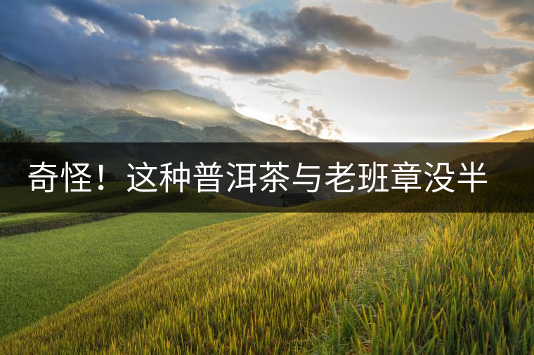 奇怪！這種普洱茶與老班章沒半毛錢關(guān)系，為啥很多人誤解？