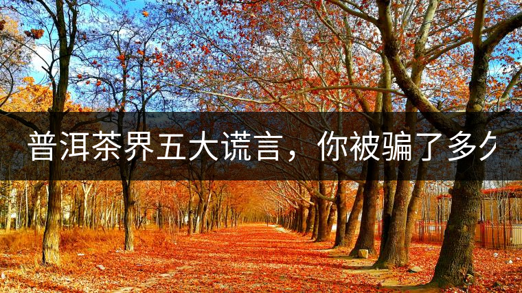 普洱茶界五大謊言，你被騙了多久？