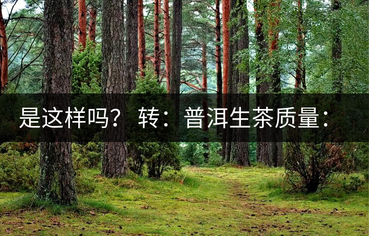 是這樣嗎？ 轉(zhuǎn)：普洱生茶質(zhì)量：大廠和小廠沒有區(qū)別