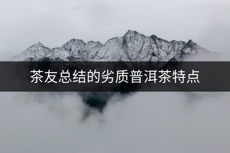 茶友總結的劣質普洱茶特點