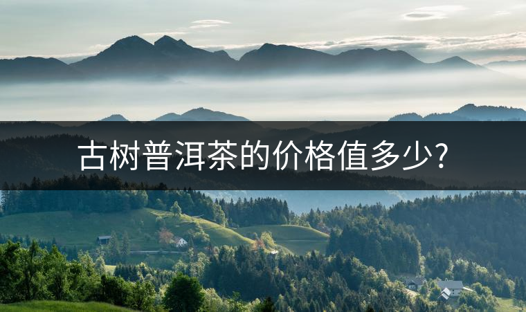古樹普洱茶的價格值多少?