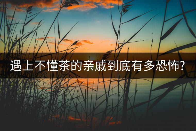 遇上不懂茶的親戚到底有多恐怖?千萬別用喝茶來考驗(yàn)?zāi)愕挠H情!