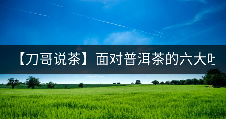 【刀哥說茶】面對普洱茶的六大吐槽, 憑什么買你家的?