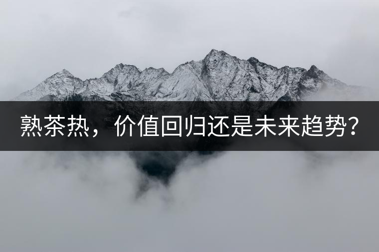熟茶熱，價(jià)值回歸還是未來趨勢？