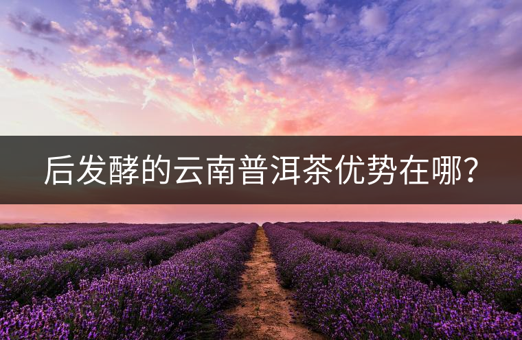 后發(fā)酵的云南普洱茶優(yōu)勢在哪？