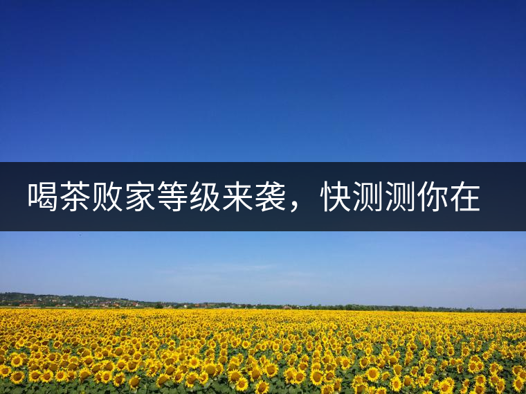 喝茶敗家等級來襲，快測測你在哪一級？