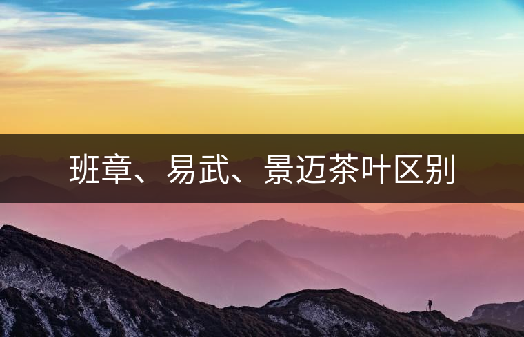 班章、易武、景邁茶葉區(qū)別