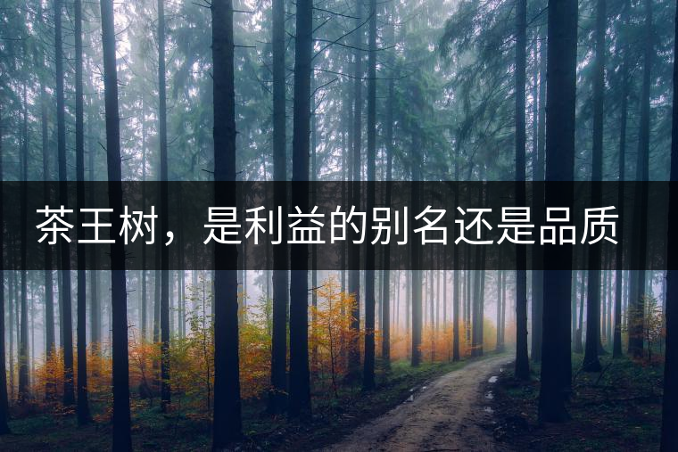 茶王樹，是利益的別名還是品質(zhì)的象征？