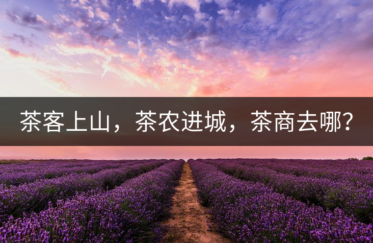 茶客上山，茶農(nóng)進(jìn)城，茶商去哪？