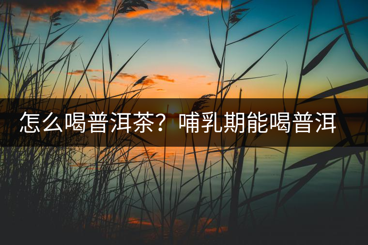 怎么喝普洱茶？哺乳期能喝普洱茶嗎？