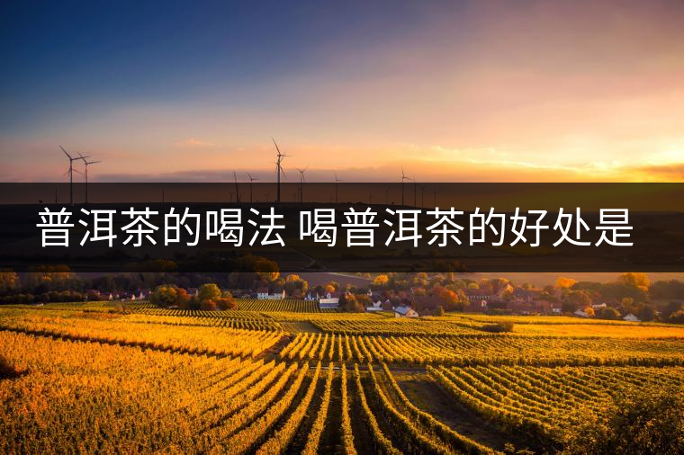 普洱茶的喝法 喝普洱茶的好處是什么？