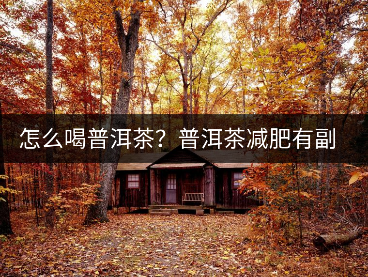 怎么喝普洱茶？普洱茶減肥有副作用嗎？