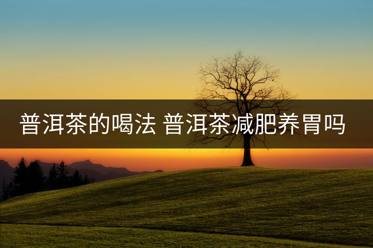 普洱茶的喝法 普洱茶減肥養(yǎng)胃嗎？
