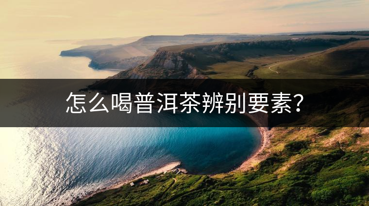 怎么喝普洱茶辨別要素？