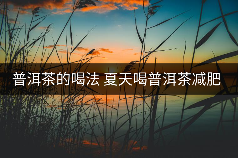 普洱茶的喝法 夏天喝普洱茶減肥嗎？