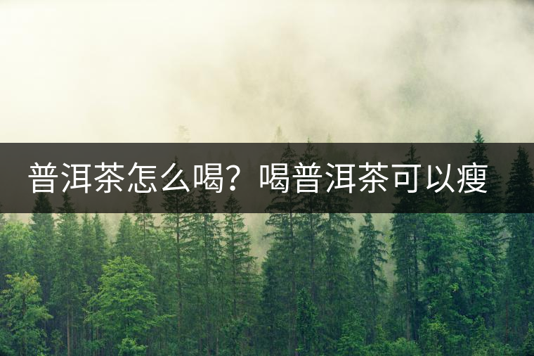普洱茶怎么喝？喝普洱茶可以瘦腹嗎？