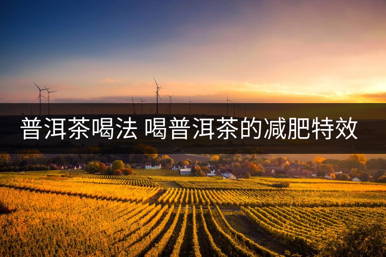 普洱茶喝法 喝普洱茶的減肥特效是什么呢？