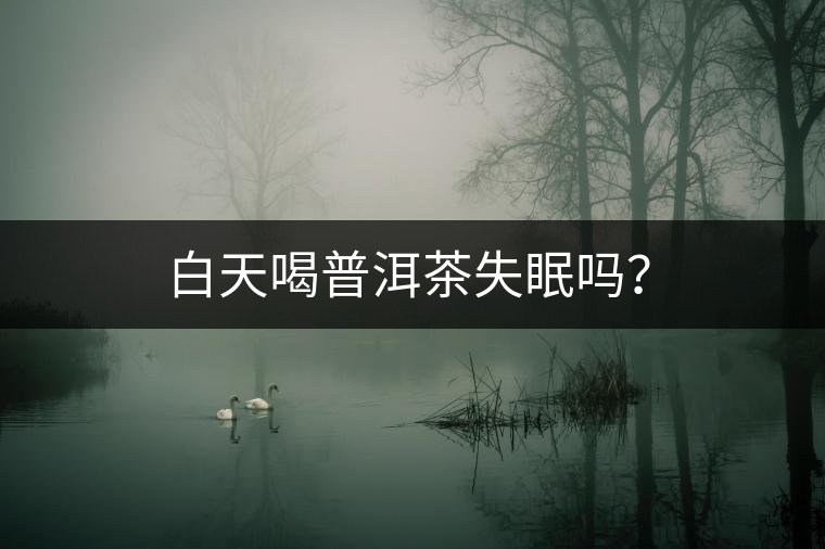 白天喝普洱茶失眠嗎？
