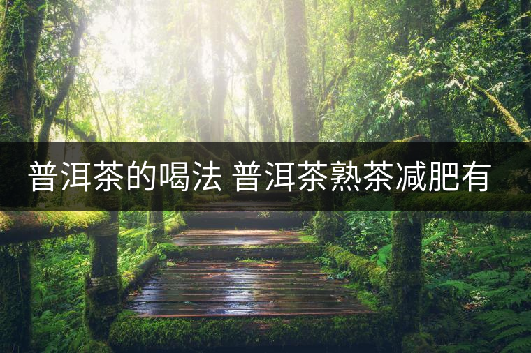 普洱茶的喝法 普洱茶熟茶減肥有什么效果嗎？