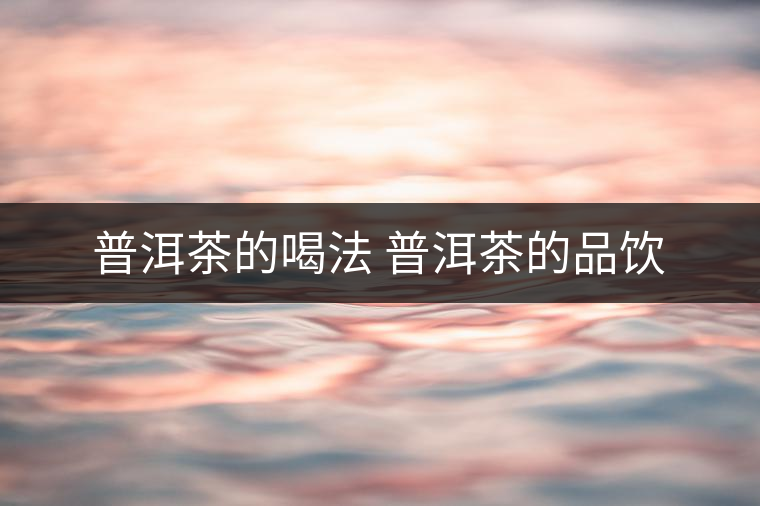 普洱茶的喝法 普洱茶的品飲