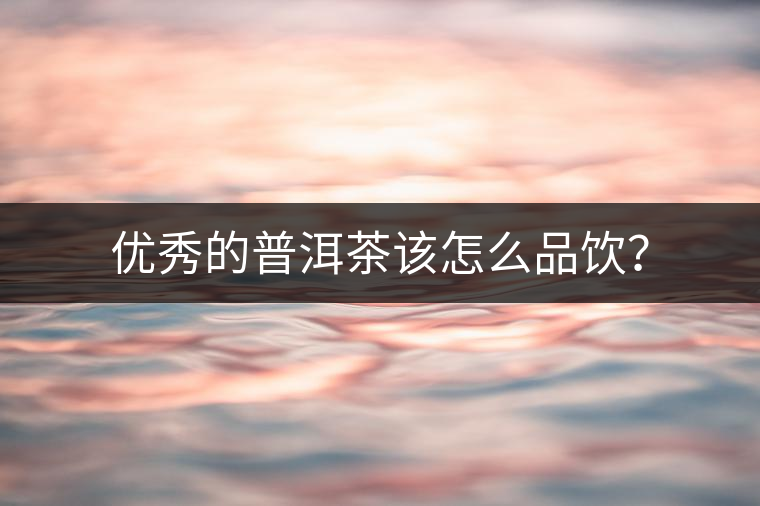 優(yōu)秀的普洱茶該怎么品飲？