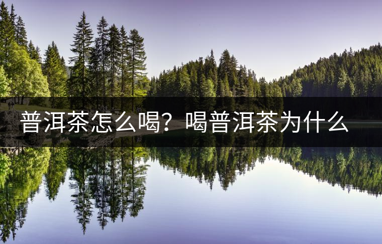 普洱茶怎么喝？喝普洱茶為什么會拉肚子？