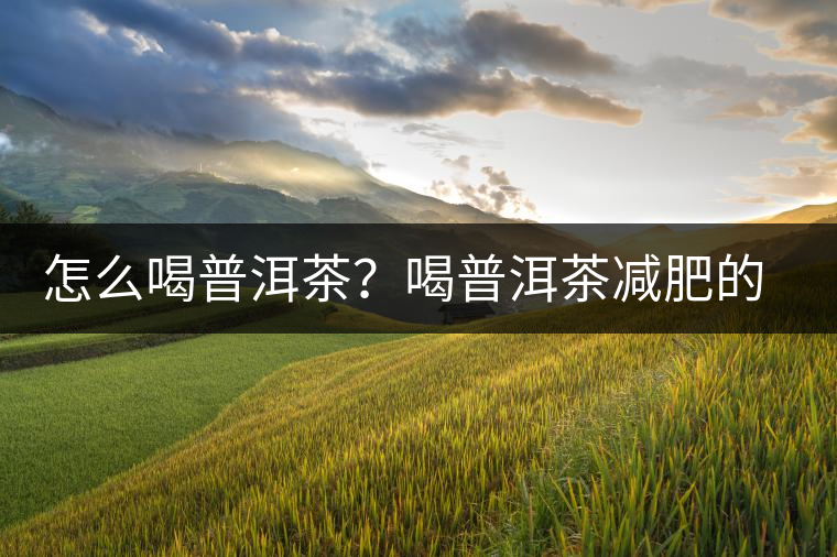 怎么喝普洱茶？喝普洱茶減肥的注意事項(xiàng)