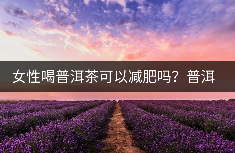 女性喝普洱茶可以減肥嗎？普洱茶的功效又有哪些呢？