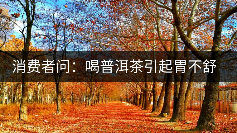消費(fèi)者問：喝普洱茶引起胃不舒服怎么辦？