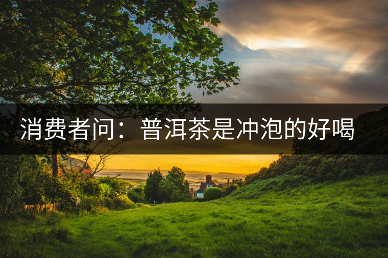 消費者問：普洱茶是沖泡的好喝？還是煮著喝好？