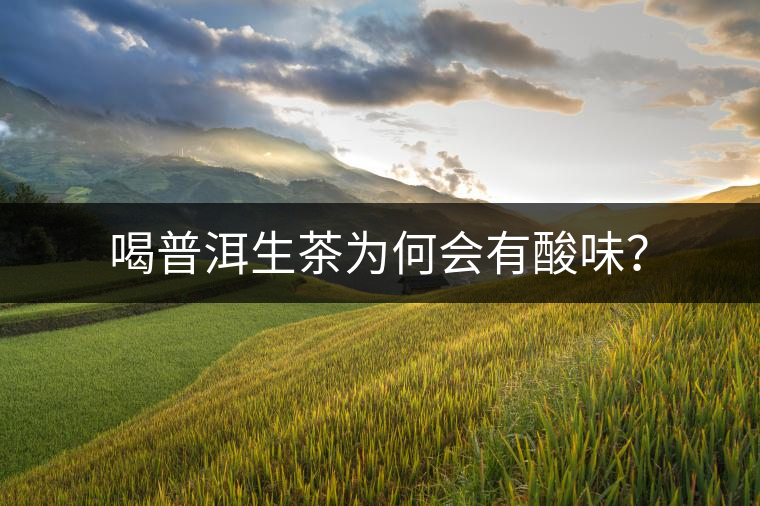 喝普洱生茶為何會(huì)有酸味？