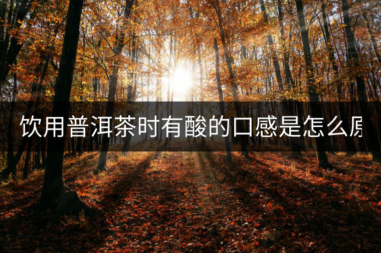 飲用普洱茶時有酸的口感是怎么原因？