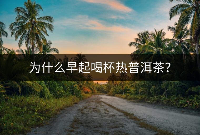 為什么早起喝杯熱普洱茶？
