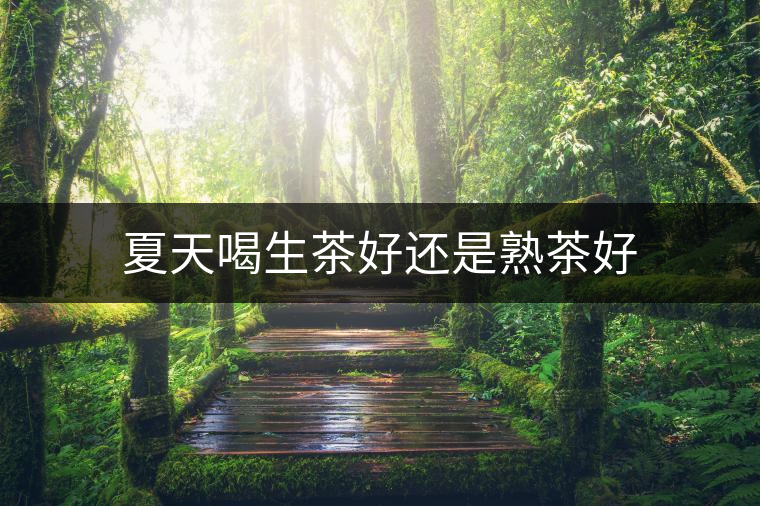 夏天喝生茶好還是熟茶好