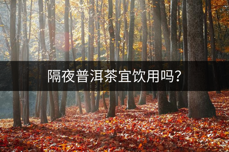 隔夜普洱茶宜飲用嗎？