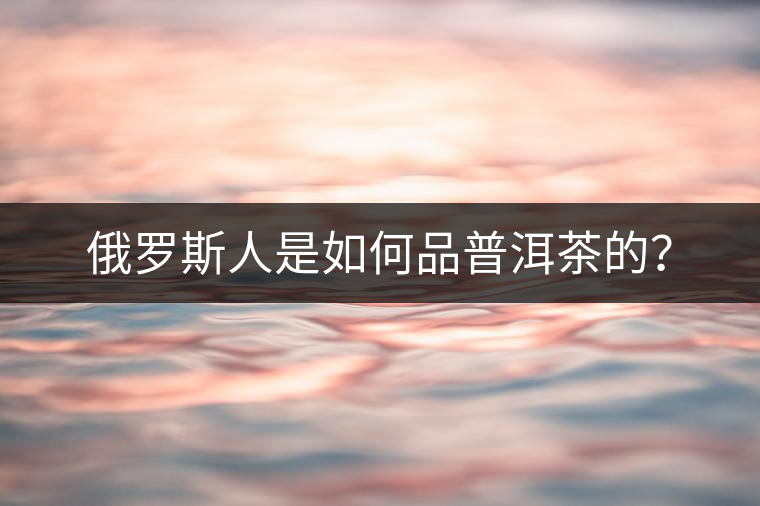 俄羅斯人是如何品普洱茶的？