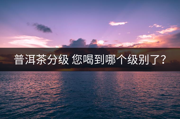 普洱茶分級(jí) 您喝到哪個(gè)級(jí)別了？