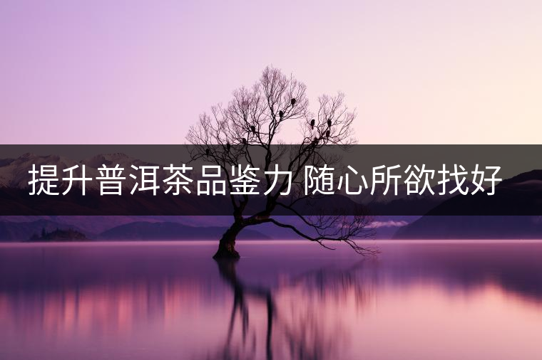 提升普洱茶品鑒力 隨心所欲找好茶