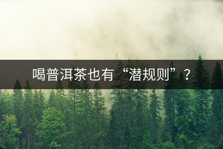 喝普洱茶也有“潛規(guī)則”？