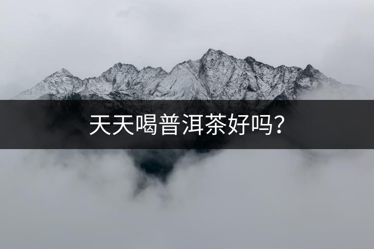 天天喝普洱茶好嗎？