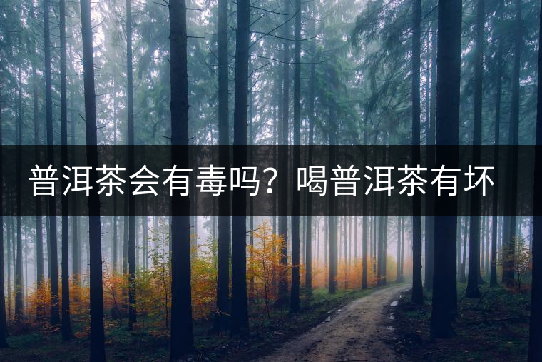 普洱茶會有毒嗎？喝普洱茶有壞處嗎？