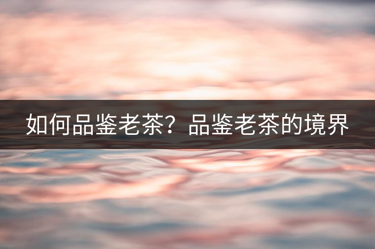 如何品鑒老茶？品鑒老茶的境界