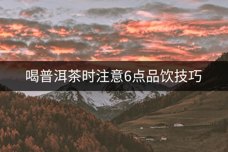喝普洱茶時注意6點品飲技巧