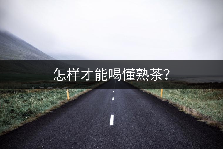 怎樣才能喝懂熟茶？