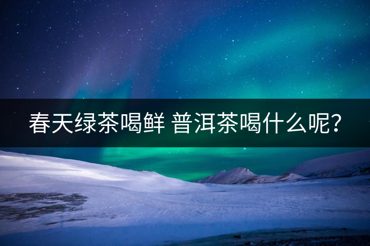春天綠茶喝鮮 普洱茶喝什么呢？