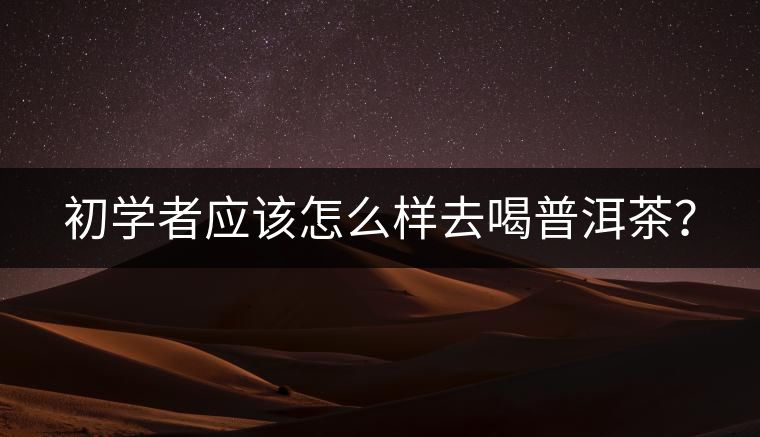 初學(xué)者應(yīng)該怎么樣去喝普洱茶？